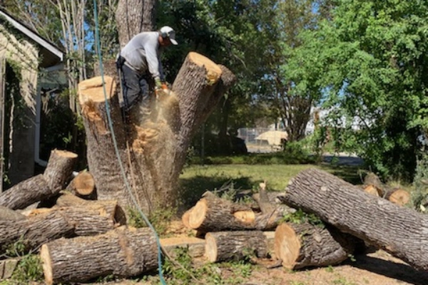 Landscape Services Landscape Services