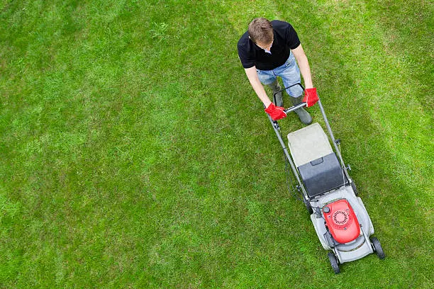 Lawn Care Service Lawn Care Service