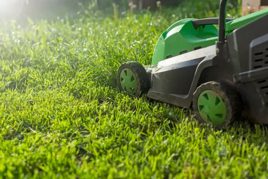The Role of Lawn Care in Enhancing Rental Curb Appeal Elmendorf, TX