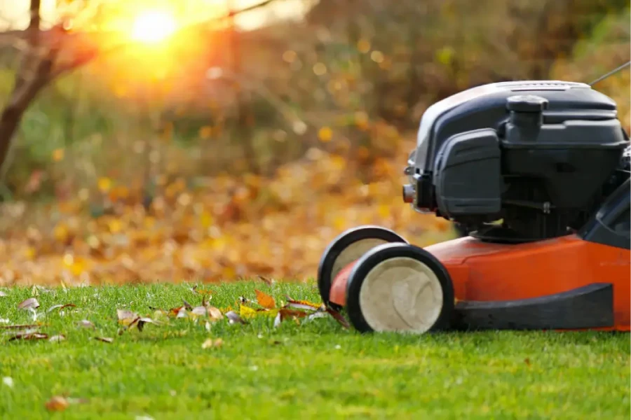 The Role of Lawn Care in Enhancing Rental Curb Appeal in Elmendorf, TX