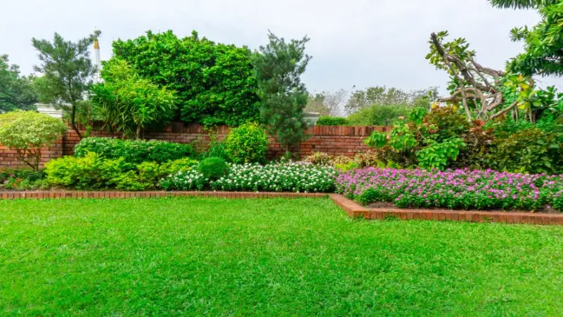 Reputable Lawn Care Service Elmendorf TX