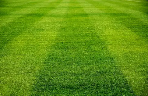 Superior Lawn Care Service Elmendorf TX